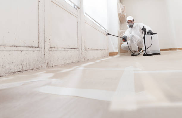 24/7 Emergency Mold Remediation experts in Wakefield, VA